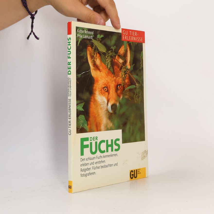 Felix Labhardt Der Fuchs