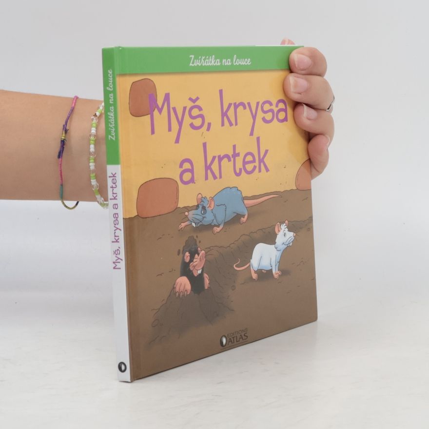 Kolektiv autorů Myš, krysa a krtek