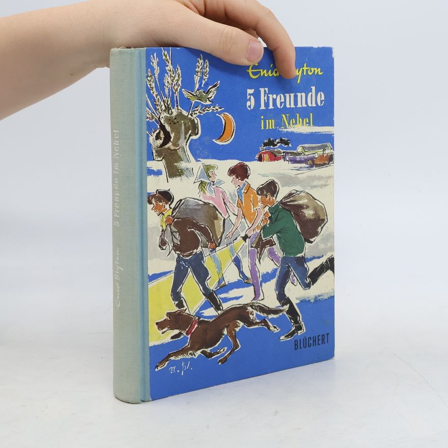 Enid Blyton 5 Freunde im Nebel
