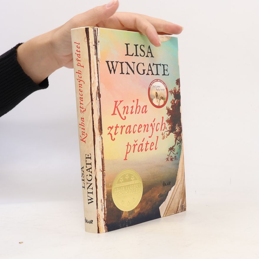 Lisa Wingate Kniha ztracených přátel