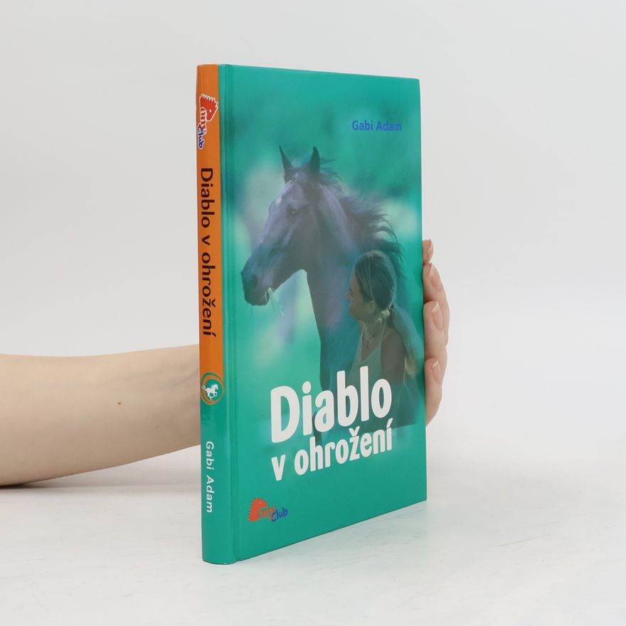 Gabi Adam Diablo v ohrožení. Diablo 2