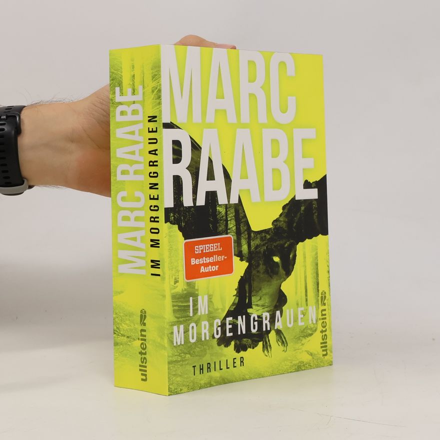 Marc Raabe Art Mayer-Serie - 4: Im Morgengrauen