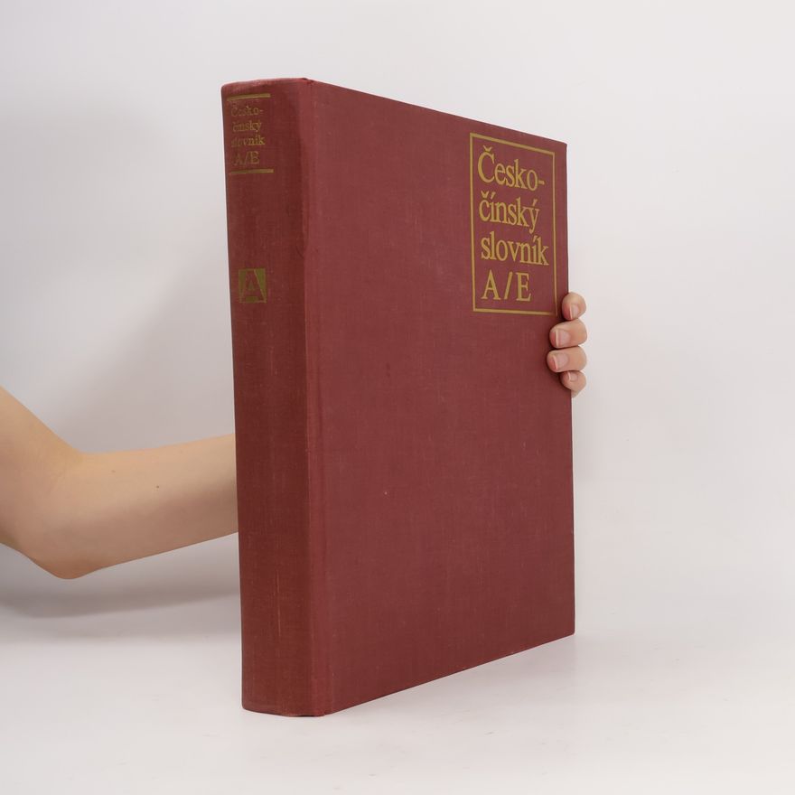 Autorenkollektiv Česko-čínský slovník (A/E)
