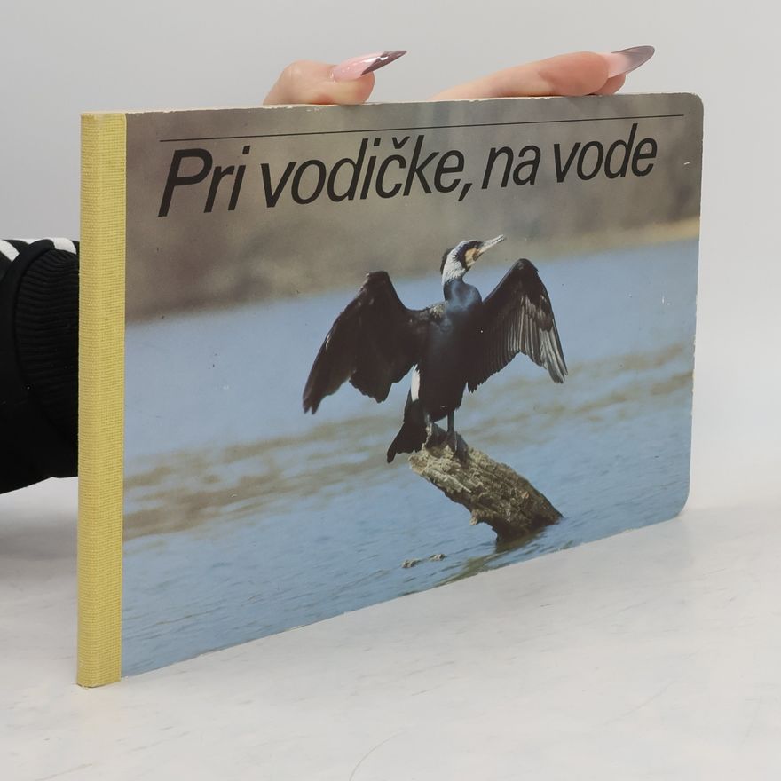 Autorenkollektiv Pri vodičke, na vode