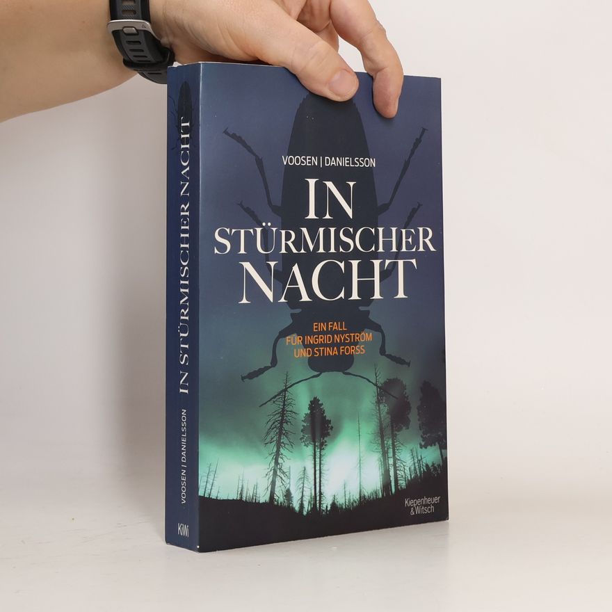 Roman Voosen In stürmischer Nacht