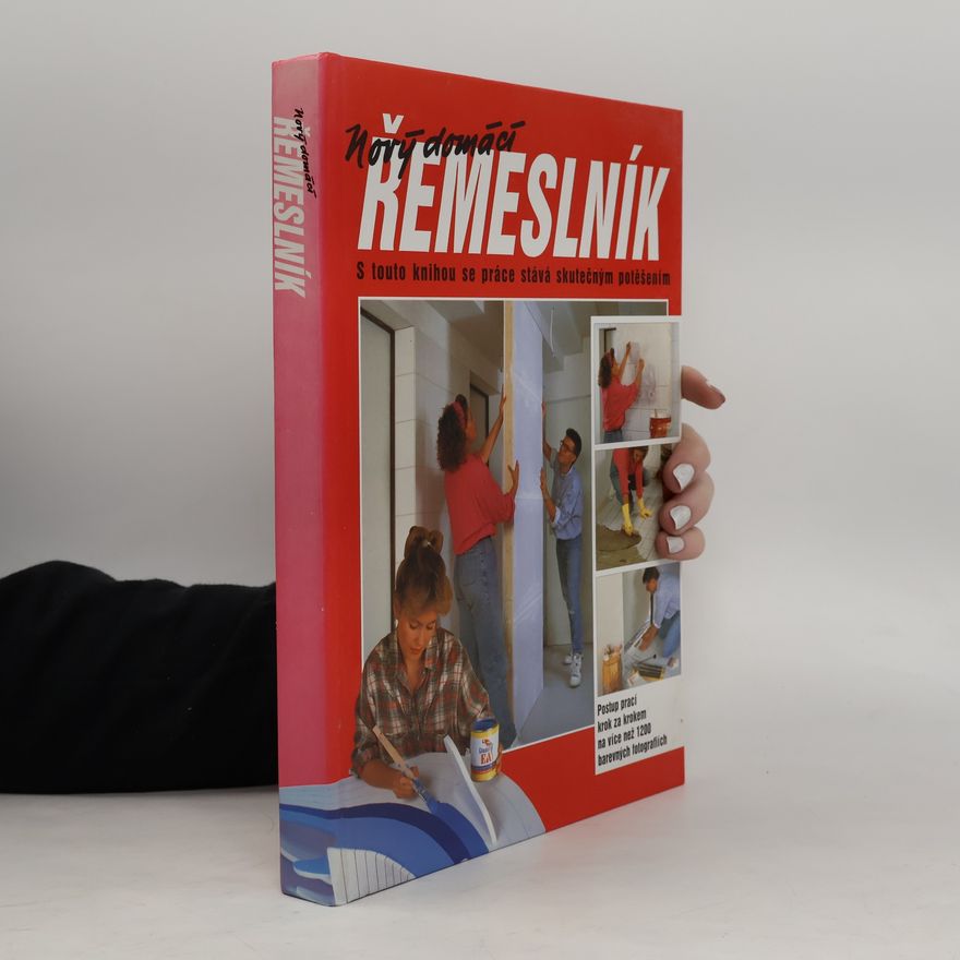 Dieter Rex Nový domácí řemeslník