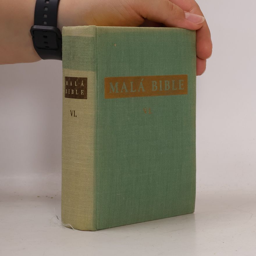 Various authors Malá Bible VI