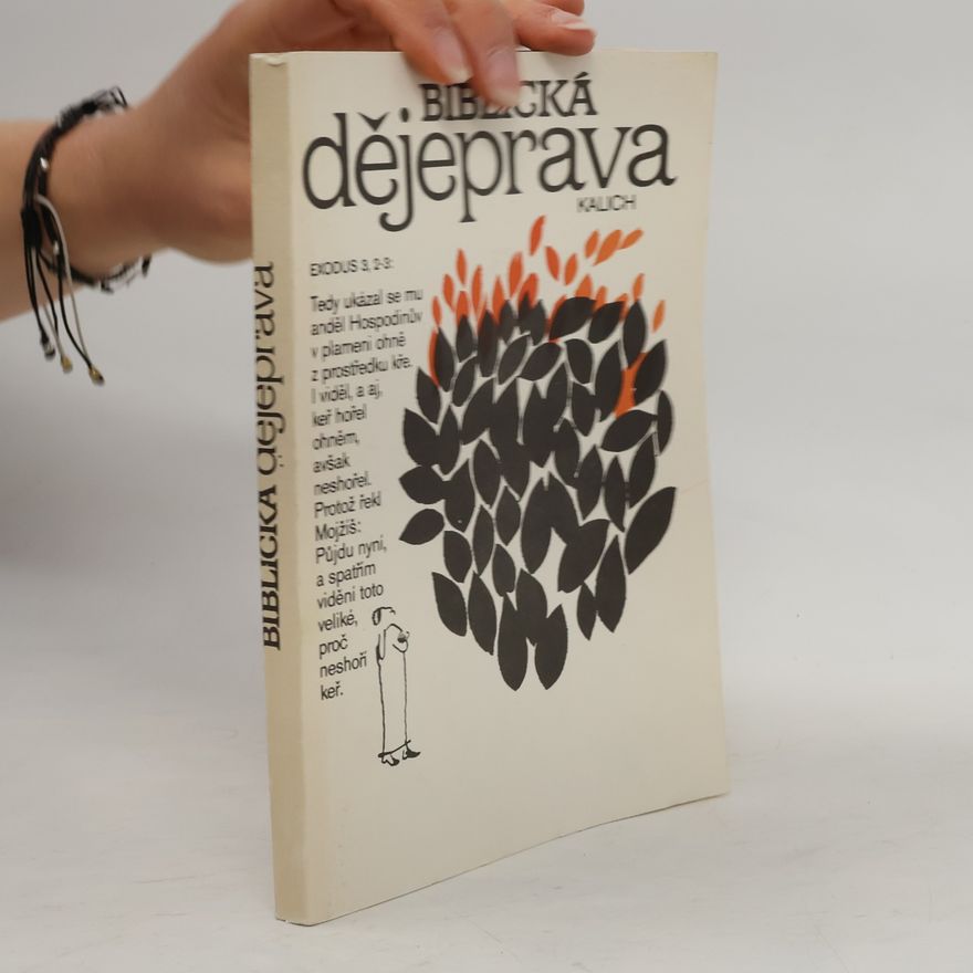 Autorenkollektiv Biblická dějeprava