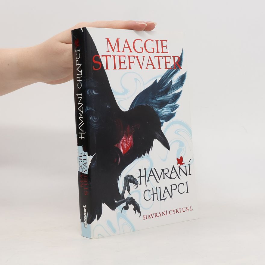 Maggie Stiefvaterová Havraní chlapci
