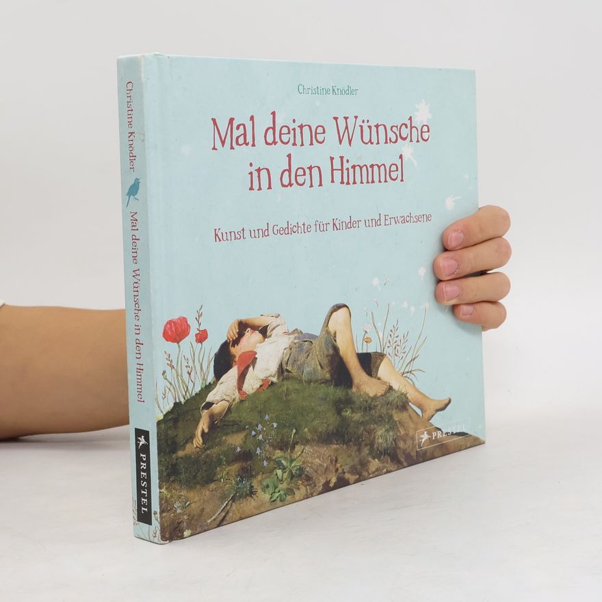 Christine Knödler Mal deine Wünsche in den Himmel