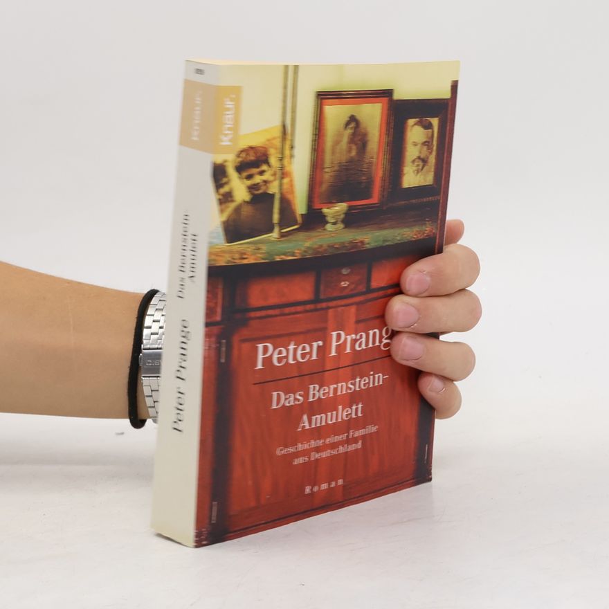 Peter Prange Das Bernstein-Amulett