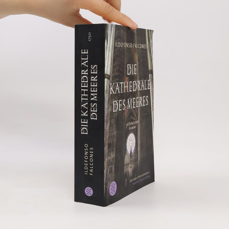 Ildefonso Falcones Die Kathedrale des Meeres