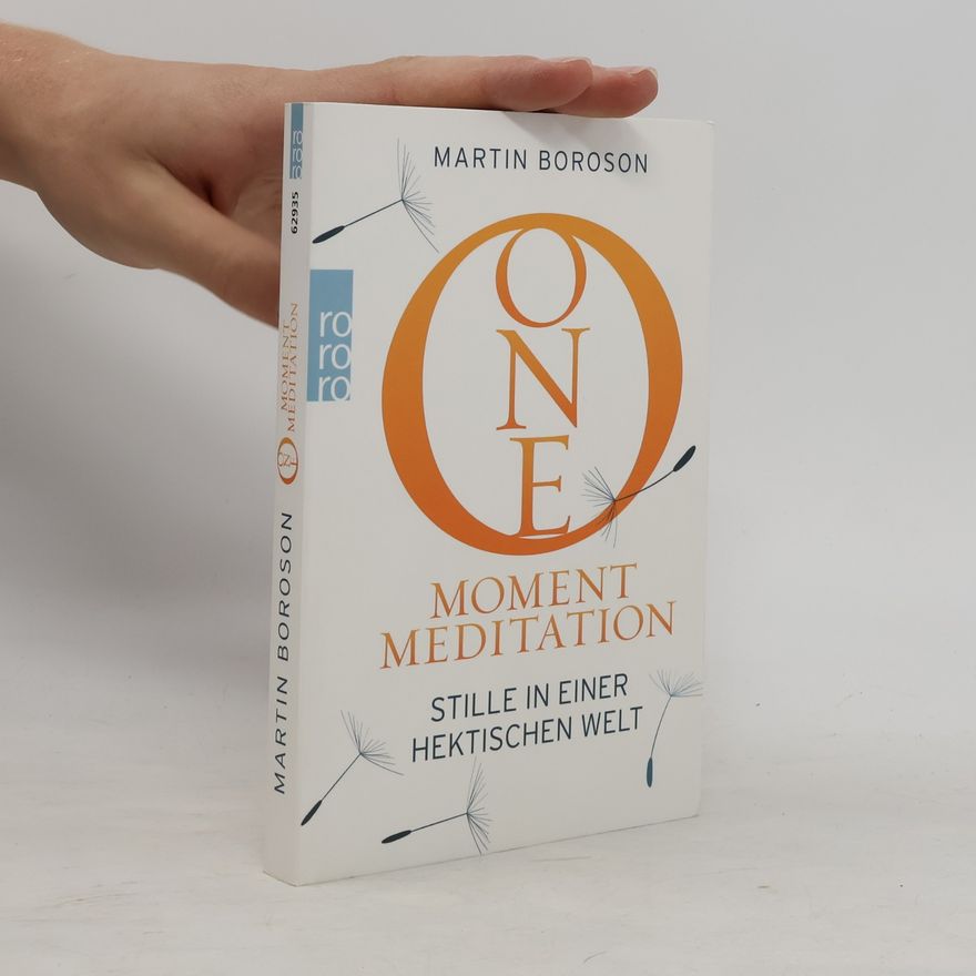 Martin Boroson One Moment Meditation