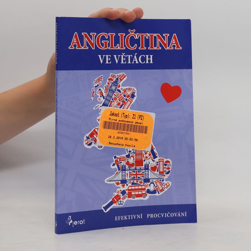 Kolektív autorov Angličtina ve větách