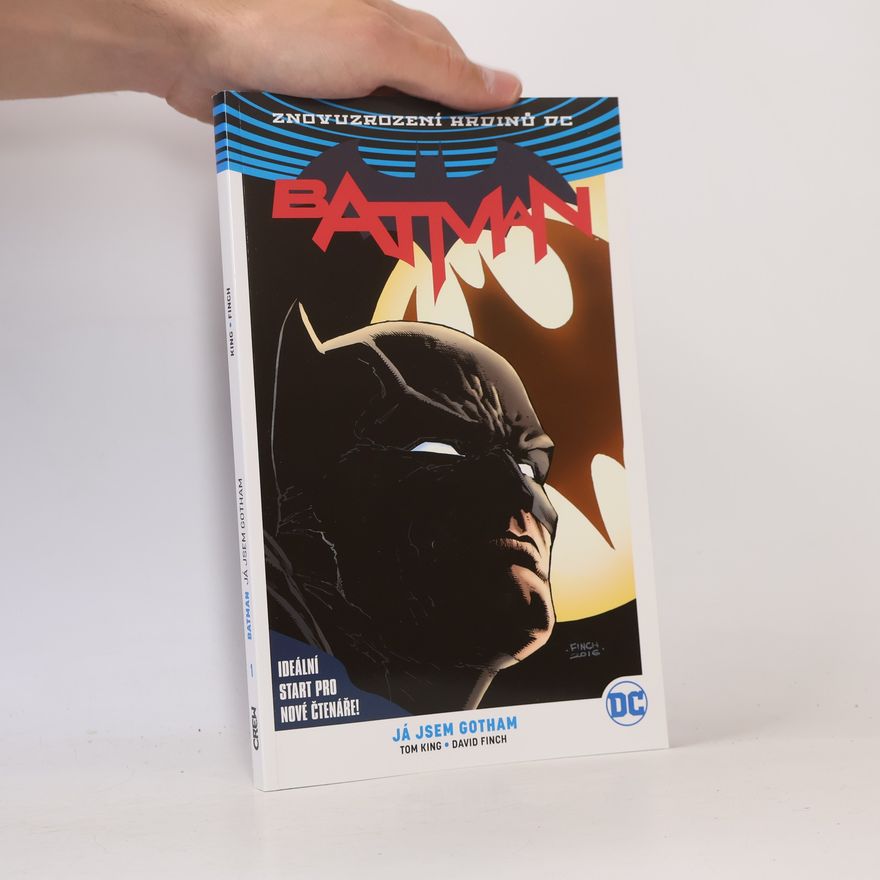 Tom King Batman. 1. díl, Já jsem Gotham