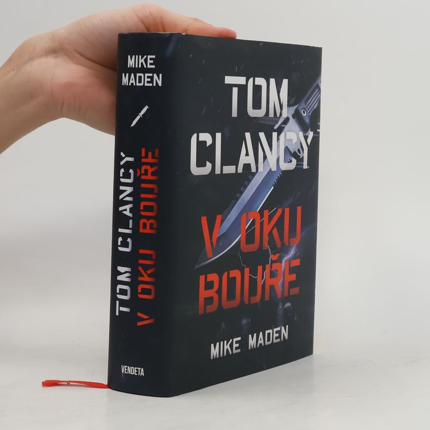 Mike Maden V oku bouře