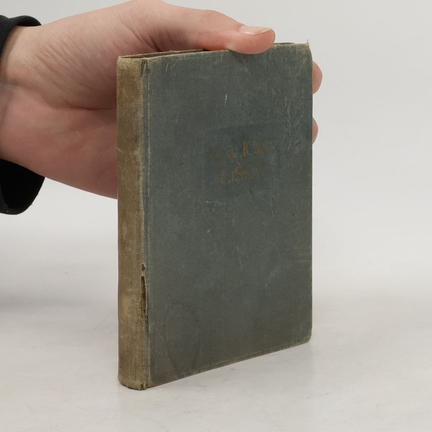 Harriet Beecher Stowe Maličké lišky