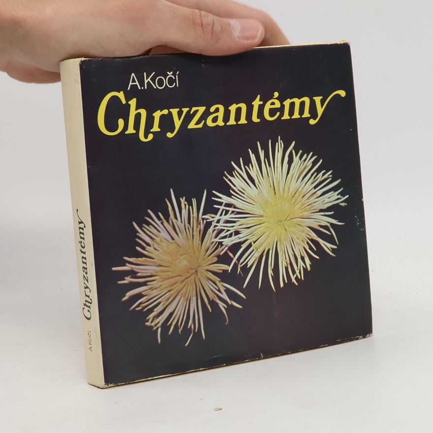 A. Kočí Chryzantémy