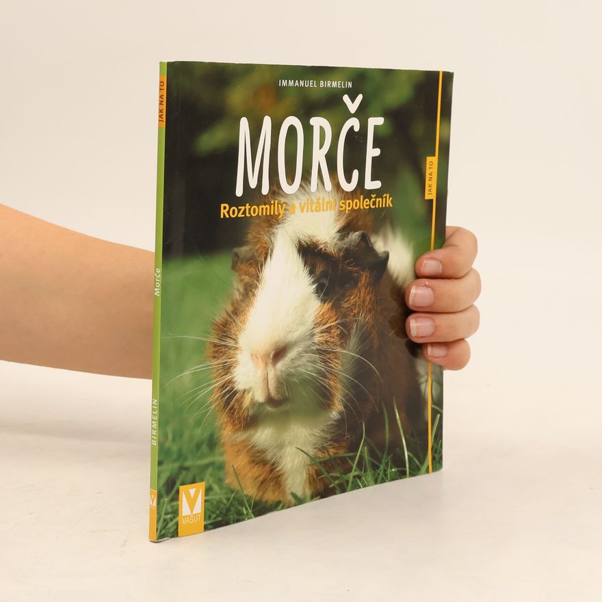 Immanuel Birmelin Morče. Roztomilý a vitální společník