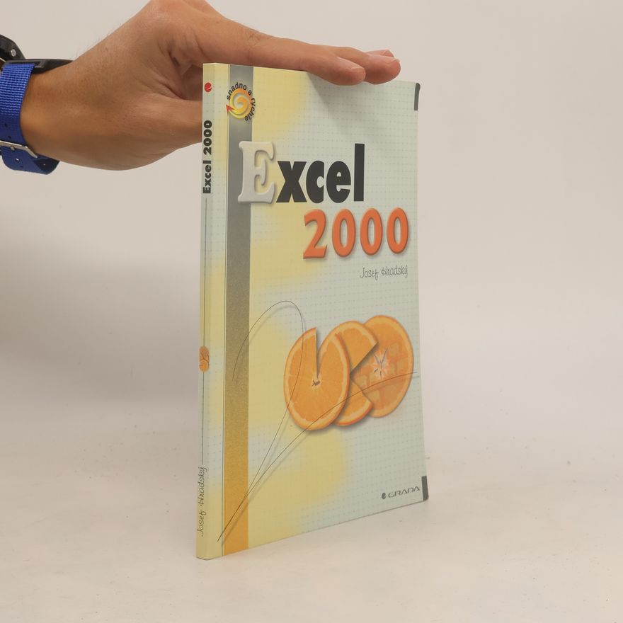 Josef Hradský Excel 2000
