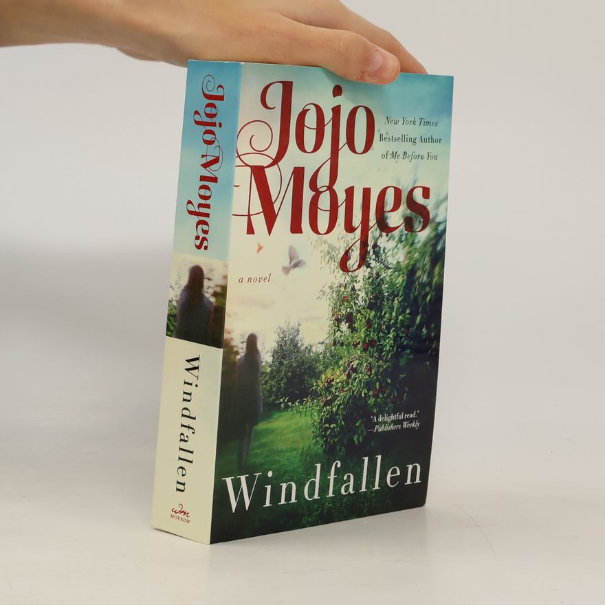 Jojo Moyes Windfallen