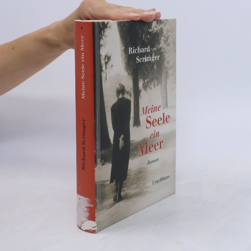 Richard Scrimger Meine Seele ein Meer