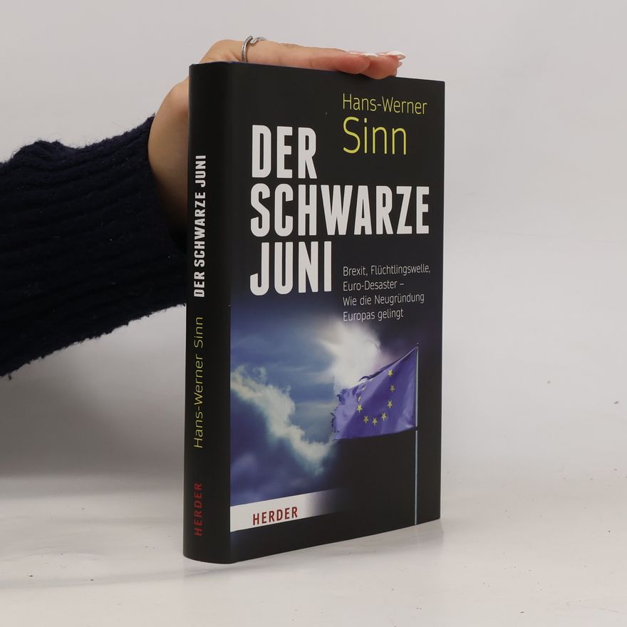 Werner Sinn Der schwarze Juni