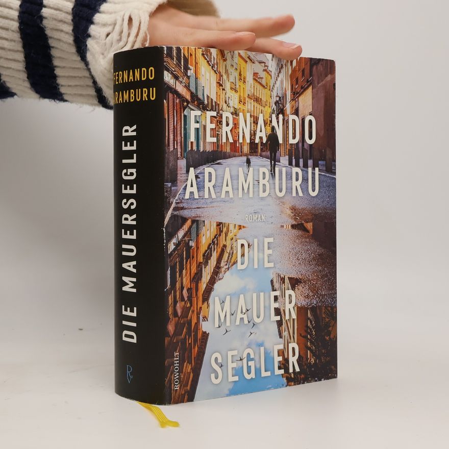 Fernando Aramburu Die Mauersegler
