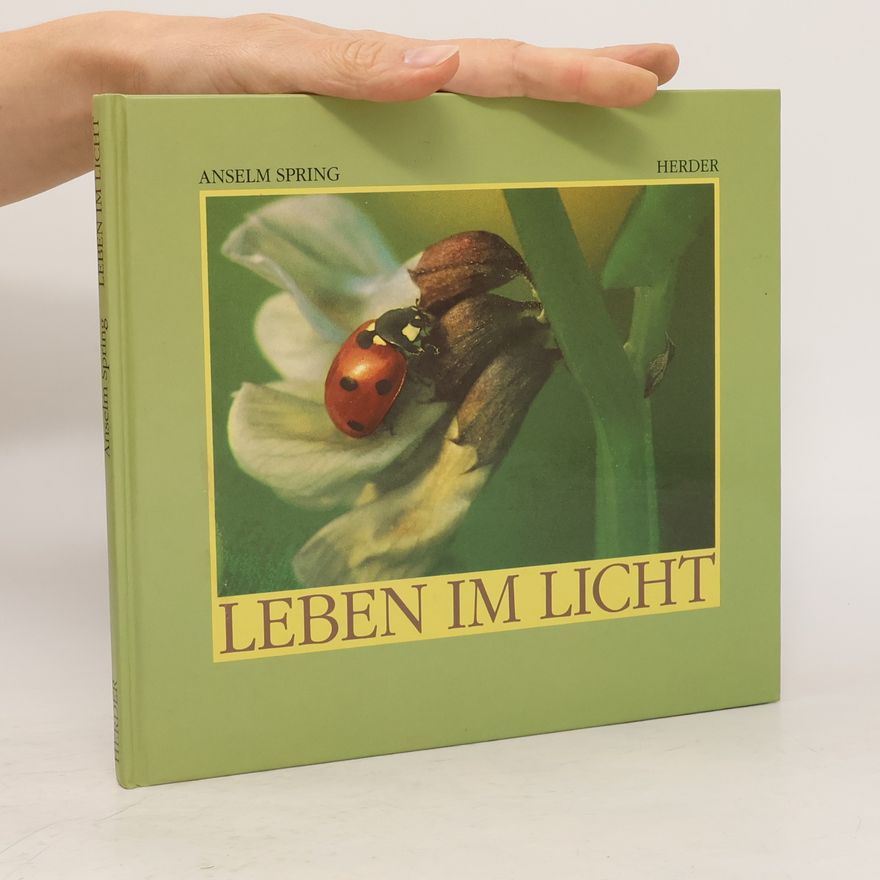 Anselm Spring Leben im Licht