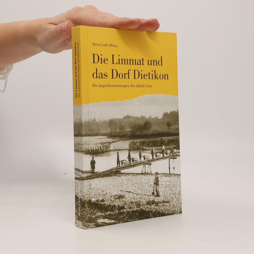 Jakob Grau Die Limmat und das Dorf Dietikon