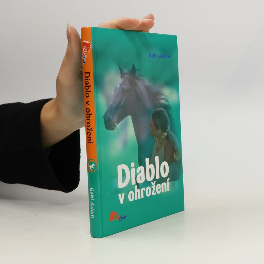 Gabi Adam Diablo v ohrožení. Diablo 2