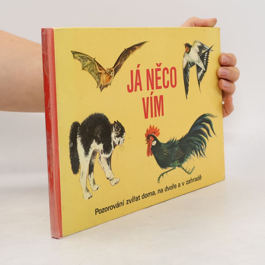 Erik Mailick Já něco vím