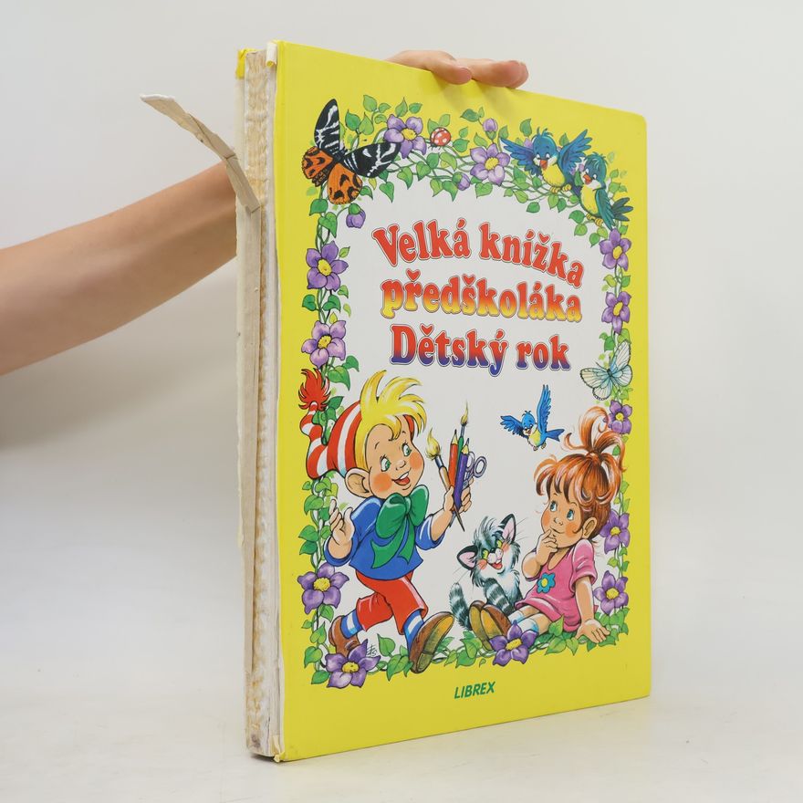 Zsuzsa Füzesi Velká knížka předškoláka. Dětský rok (pomalovaná)