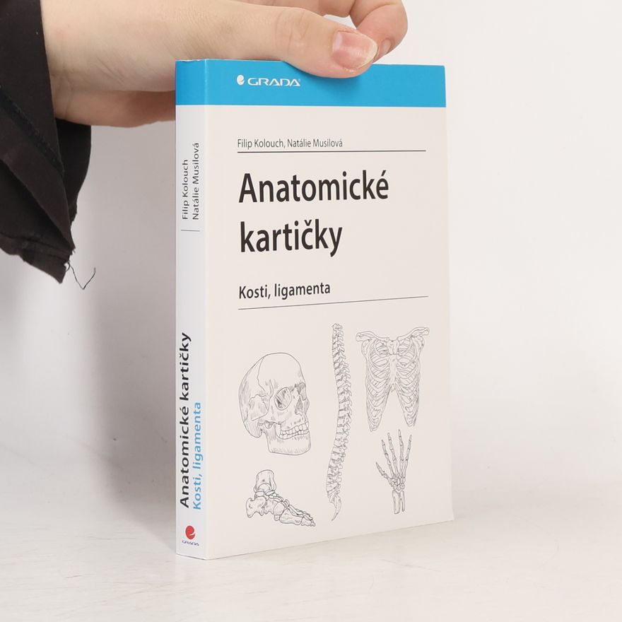 Natálie Musilová Anatomické kartičky