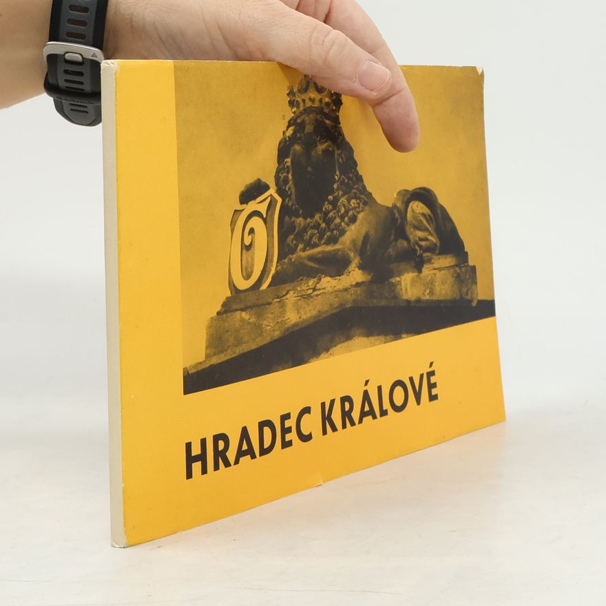 Miroslav Rajzik Hradec Králové