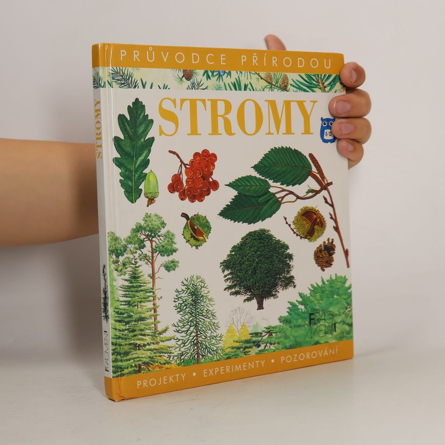 David More Stromy Evropy