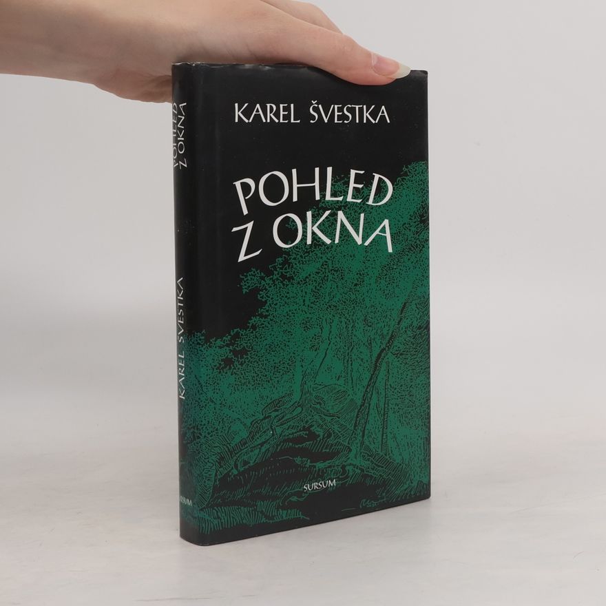 Karel Švestka Pohled z okna