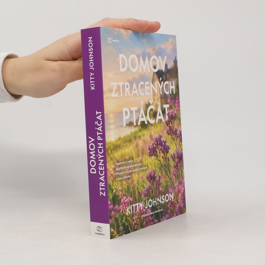Margaret Johnson Domov ztracených ptáčat