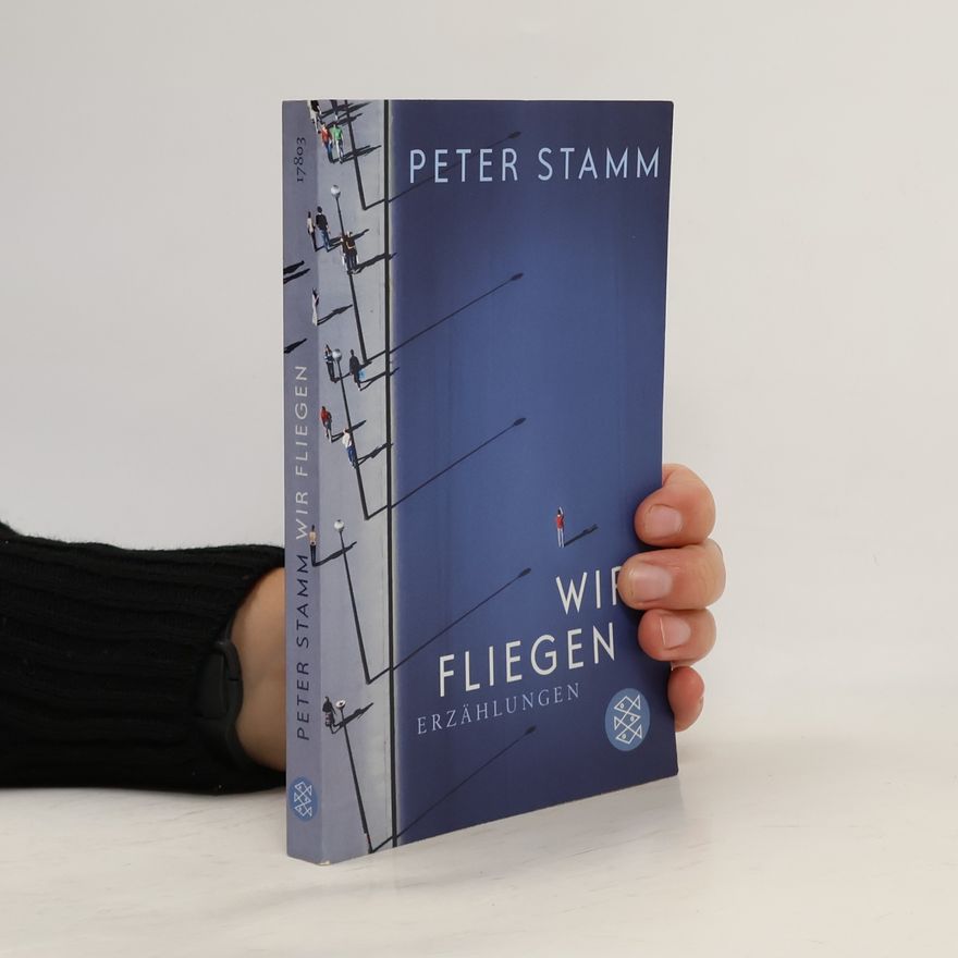 Peter Stamm Wir fliegen