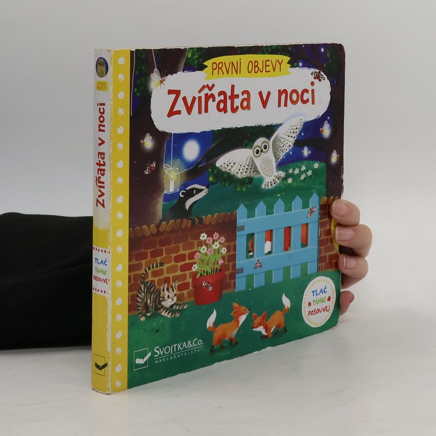 Jenny Wren První objevy: Zvířata v noci