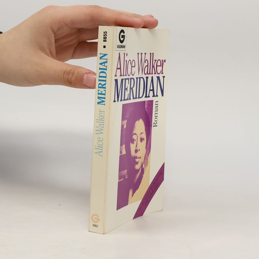 Alice Walker Meridian