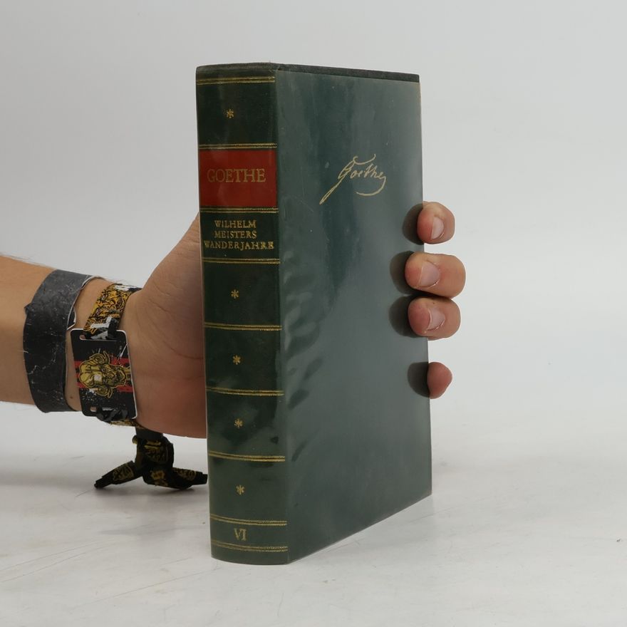 Johann Wolfgang von Goethe Wilhelm Meisters Wanderjahre VI. Maximen und Reflexionen