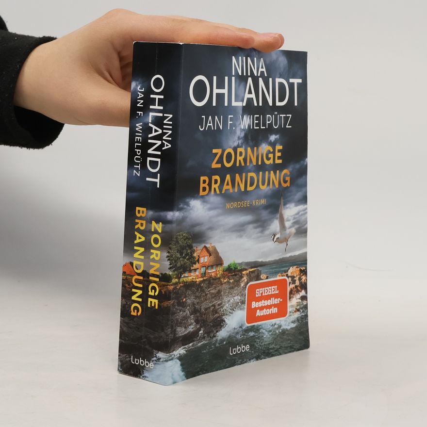 Nina Ohlandt Zornige Brandung