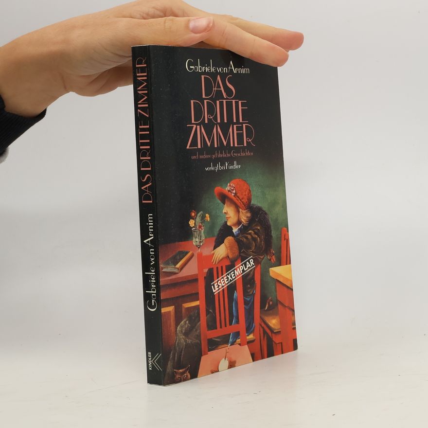 Gabriele von Arnim Das dritte Zimmer, und andere gefährliche Geschichten