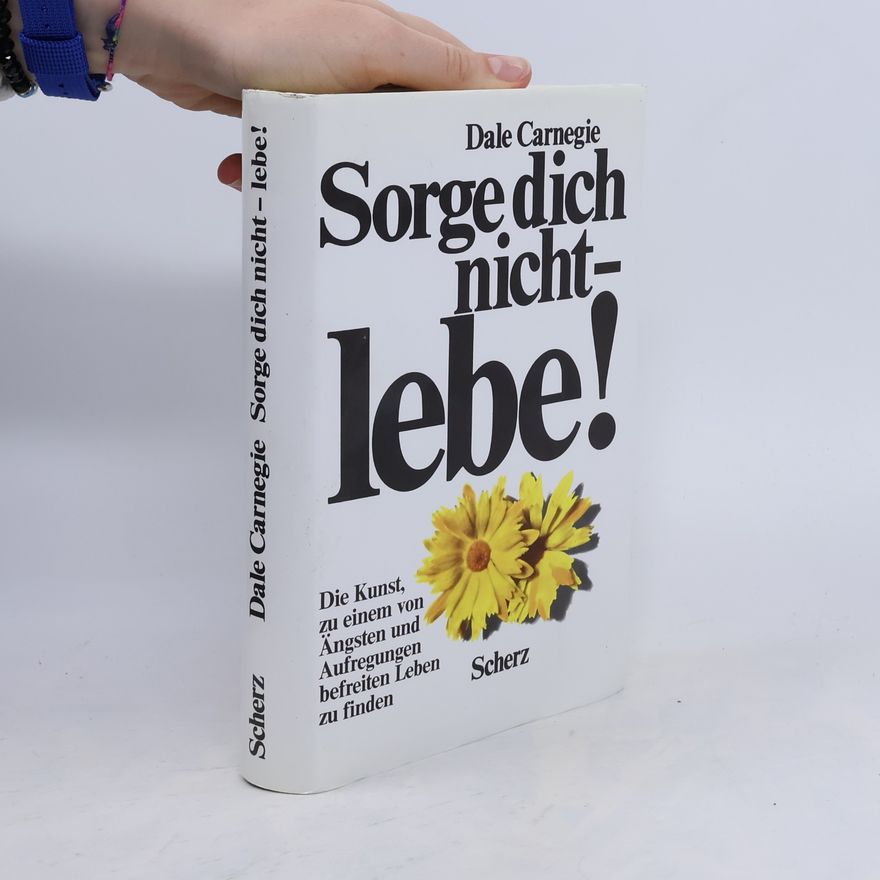 Dale Carnegie Sorge dich nicht - lebe!