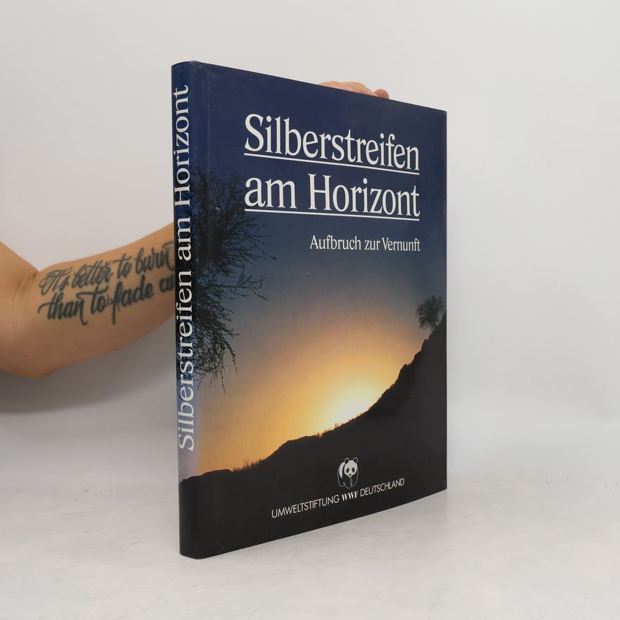 Autorenkollektiv Silberstreifen am Horizont. Aufbruch zur Vernunft