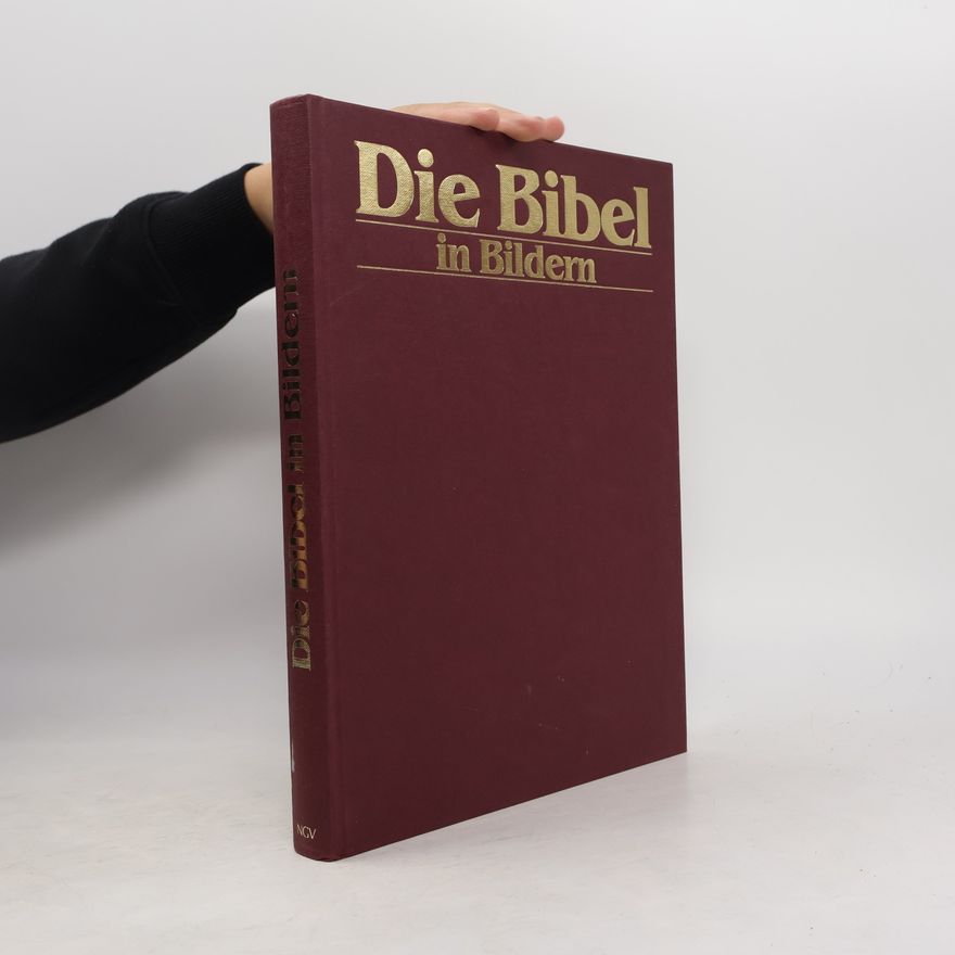 Autorenkollektiv Die Bibel in Bildern. Schatzkammer der Malerei