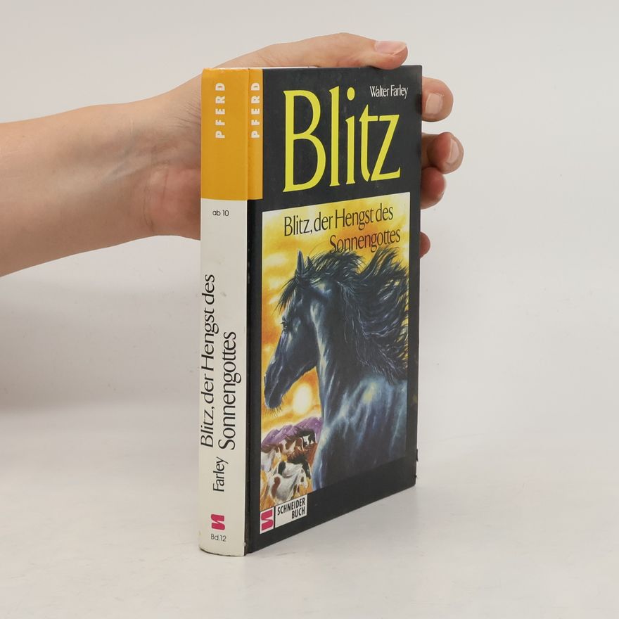 Walter Farley Blitz, der Hengst des Sonnengottes