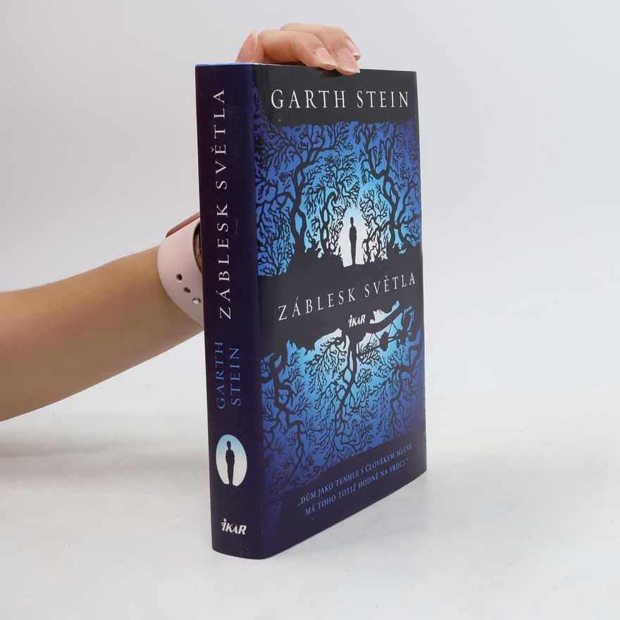 Garth Stein Záblesk světla