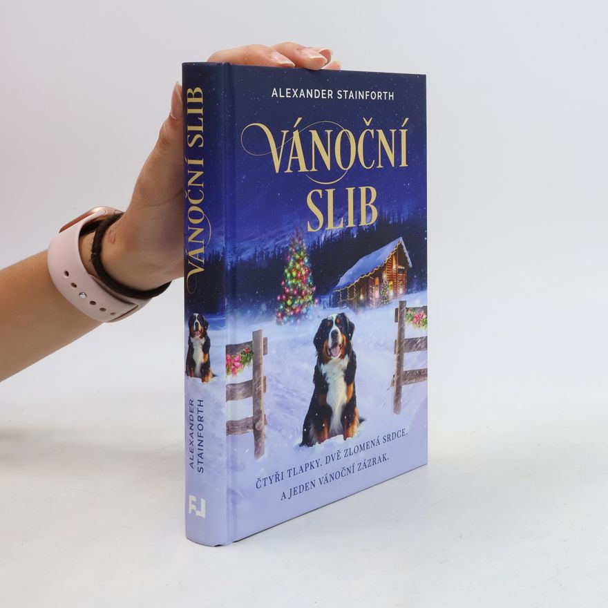 Alexander Stainforth Vánoční slib